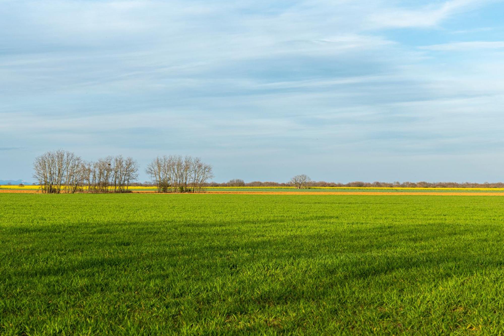 Descubre La Cepedana: Casa Rural Con Encanto En Cogorderos, A Solo 10 Km De Astorga Dış mekan fotoğraf